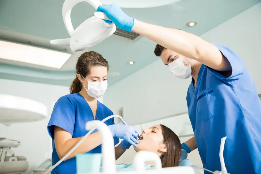 dentist near willoughby, langley, bc
